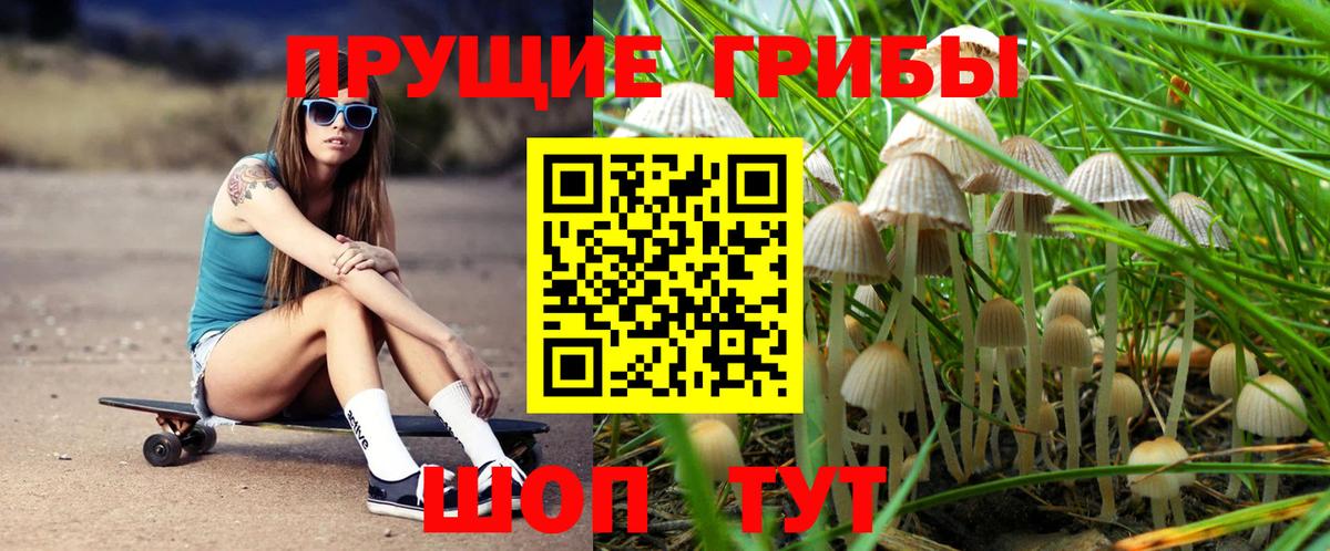 Галлюциногенные грибы мицелий Тара